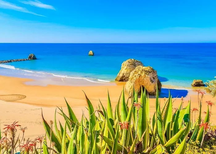 Paradise Sunshine Appartement