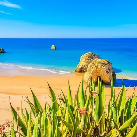 Paradise Sunshine شقة